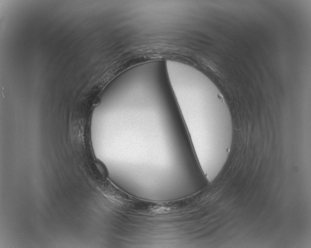 X0000061750315200512021119