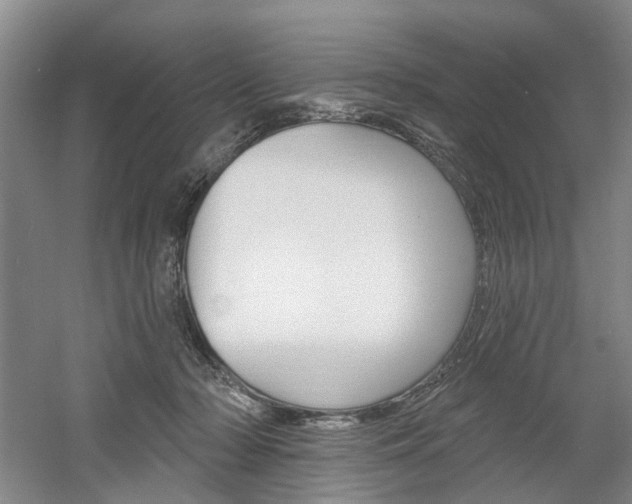 X0000061750318200512021119