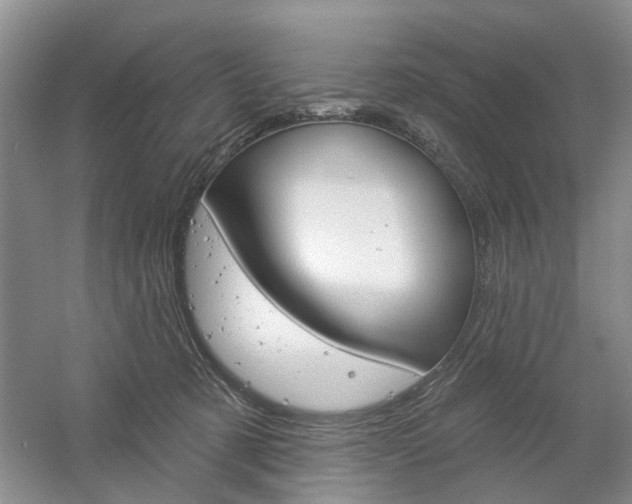 X0000061750321200512021119