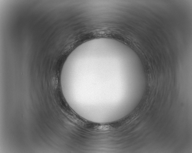 X0000061750324200512021119