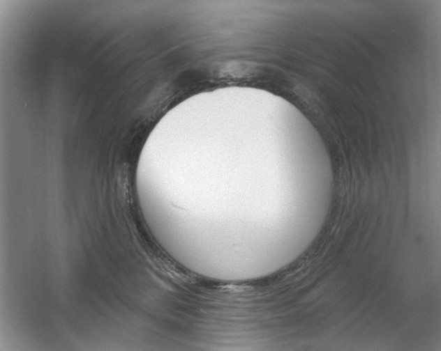 X0000061750328200512021119