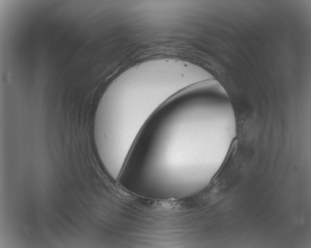 X0000061750329200512021119