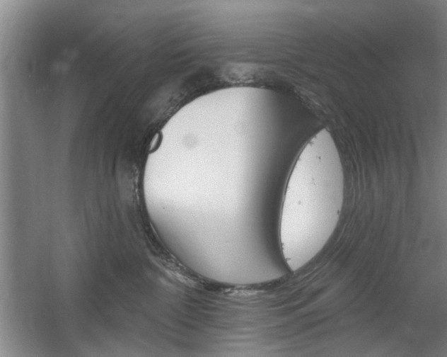 X0000061750332200512021118