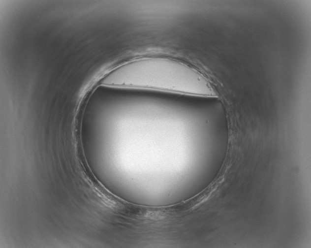 X0000061750341200512021118