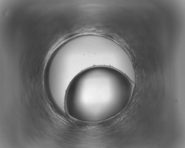 X0000061750344200512021118