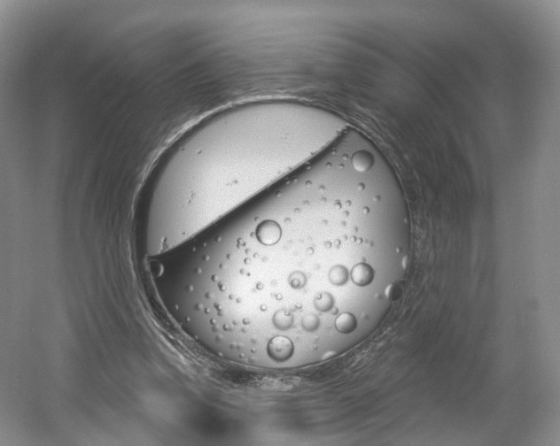 X0000061750346200512021118