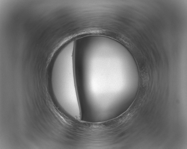 X0000061750350200512021118