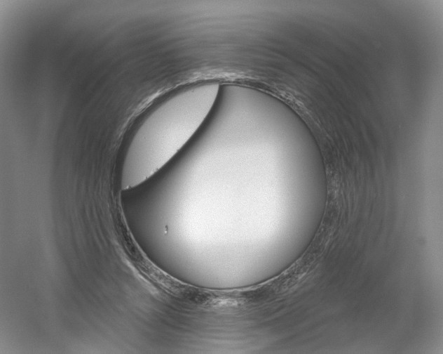 X0000061750352200512021118