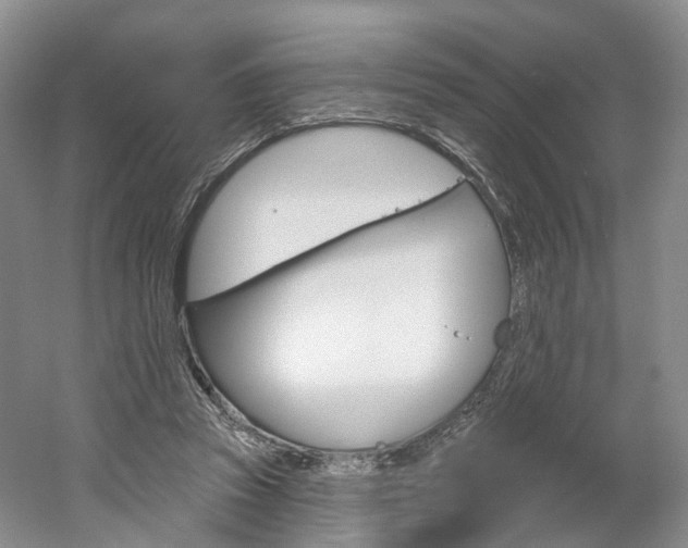 X0000061750353200512021118