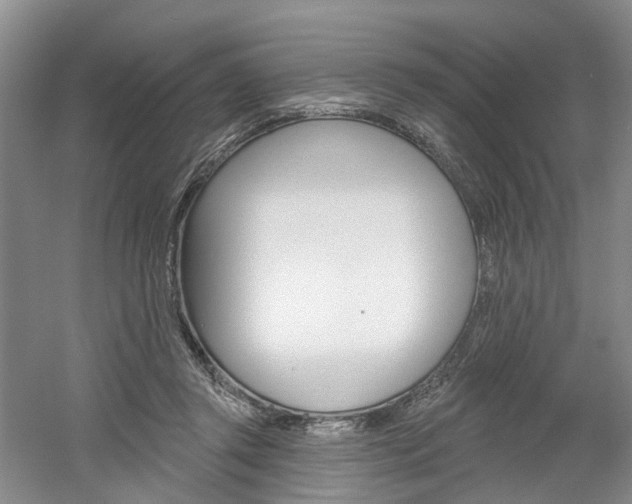 X0000061750357200512021118