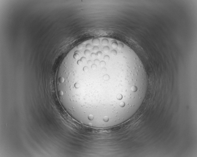 X0000061750359200512021118