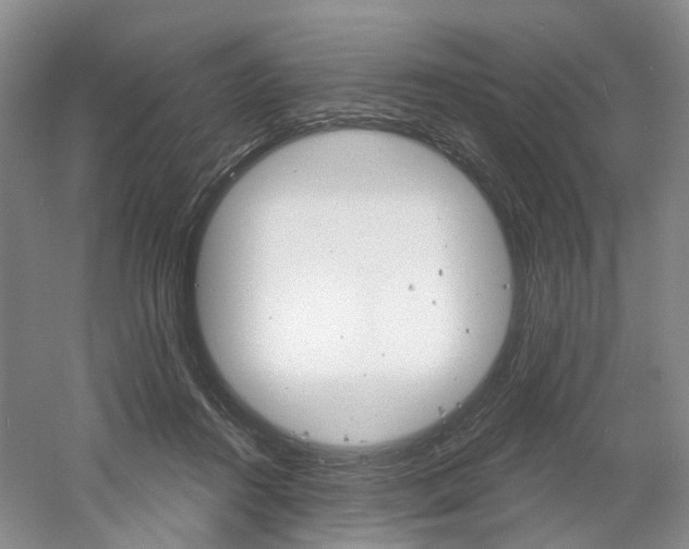 X0000061750360200512021118