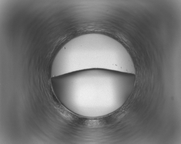 X0000061750361200512021118