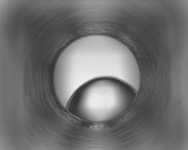 X0000061750362200512021118