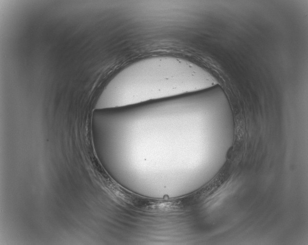 X0000061750365200512021118