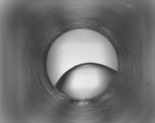 X0000061750366200512021118