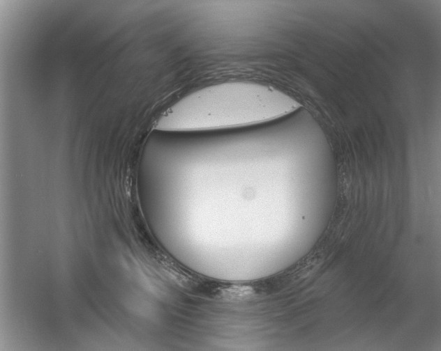X0000061750374200512021118