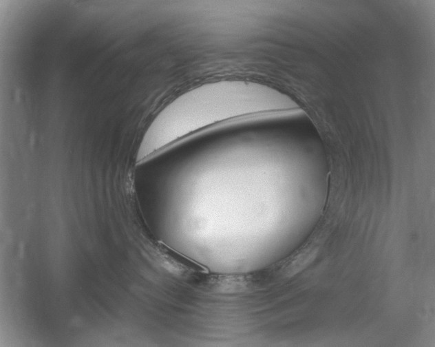 X0000061750384200512021118