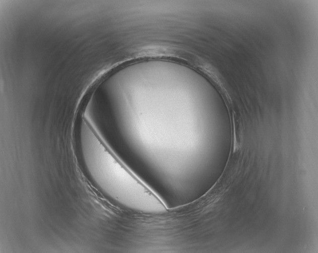 X0000061750387200512021117