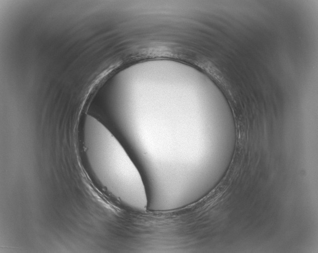 X0000061750390200512021117