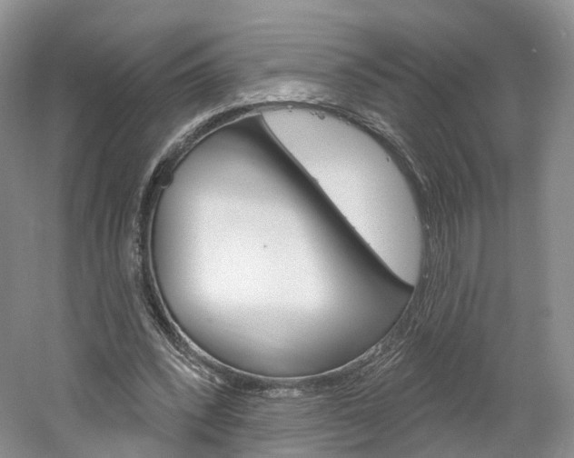X0000061750392200512021117