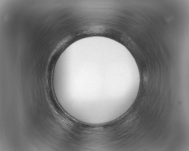 X0000061750396200512021117