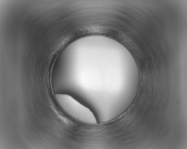 X0000061750398200512021117