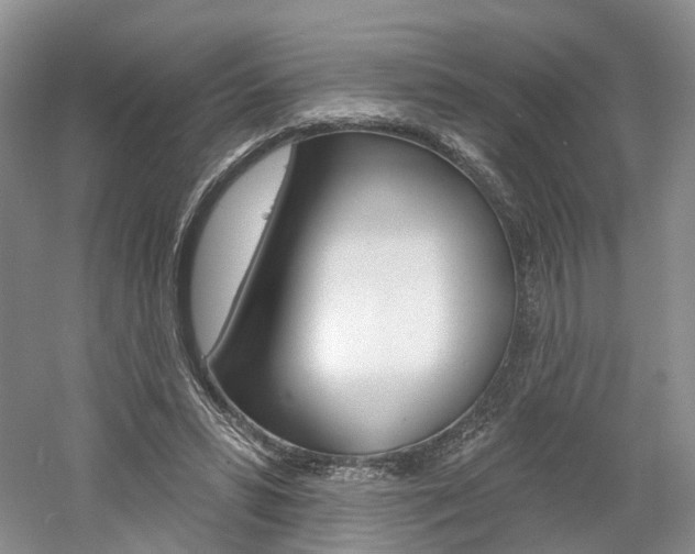 X0000061750399200512021117