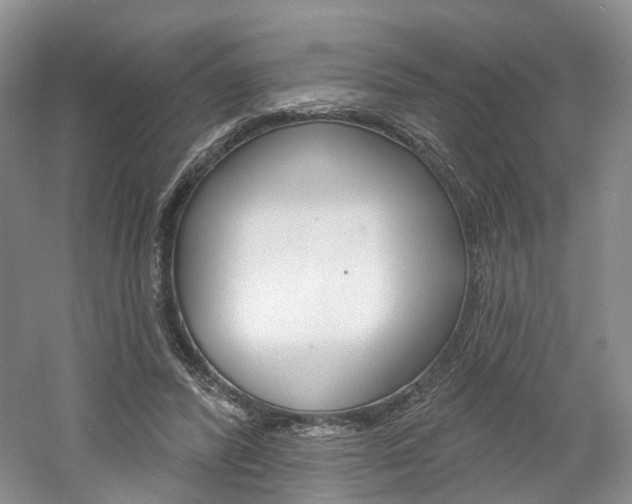 X0000061750400200512021117
