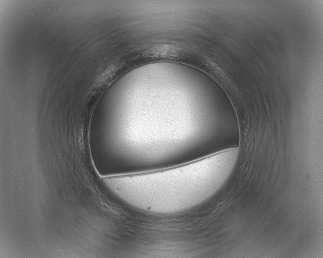 X0000061750403200512021117