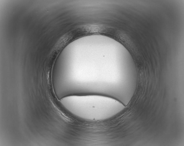 X0000061750406200512021117