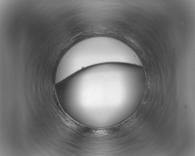 X0000061750409200512021117