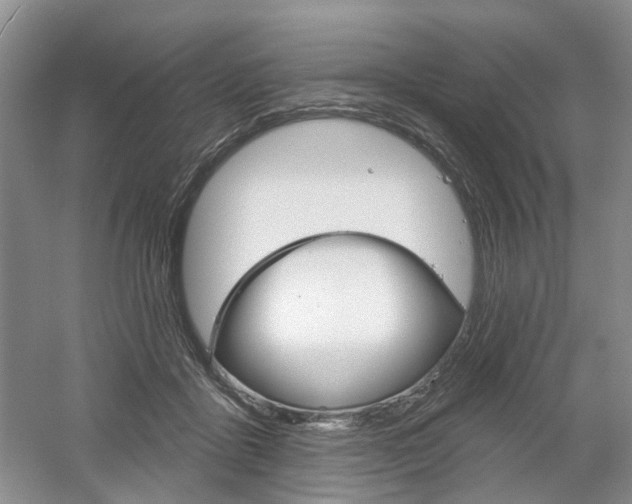 X0000061750411200512021117
