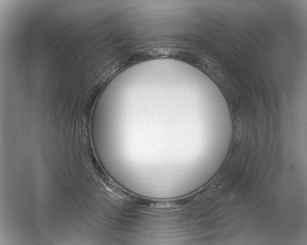 X0000061750414200512021117