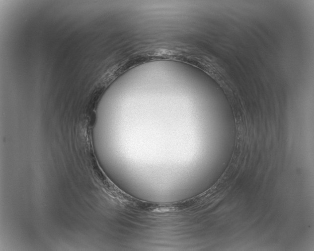 X0000061750415200512021117