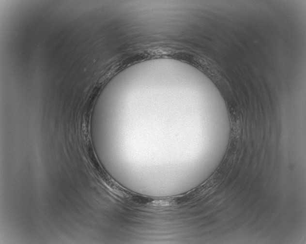 X0000061750418200512021117