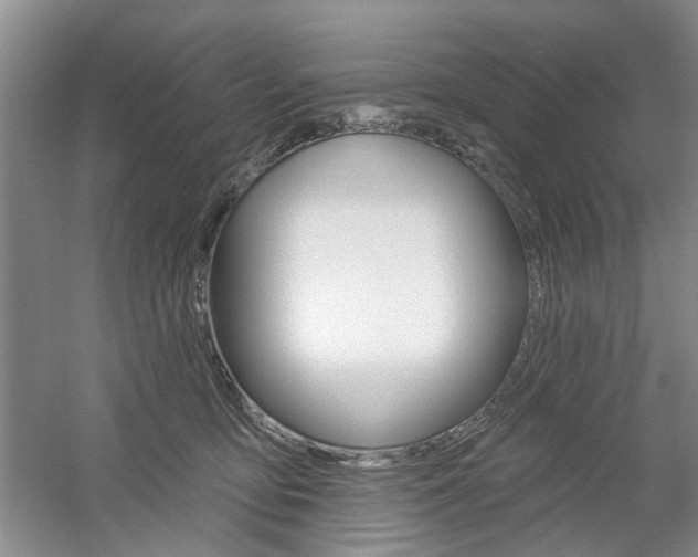 X0000061750419200512021117