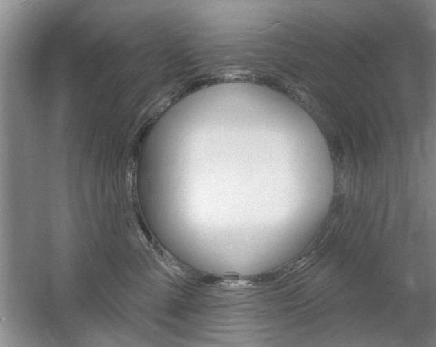 X0000061750427200512021117