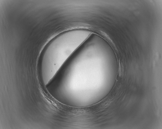 X0000061750435200512021116
