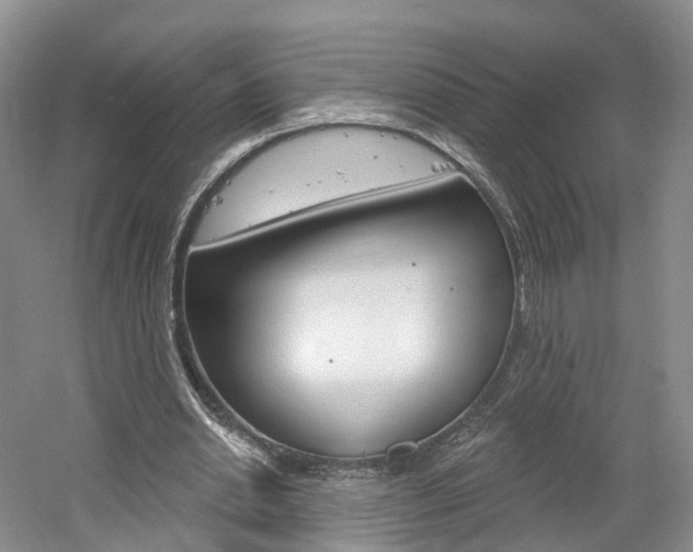 X0000061750438200512021116
