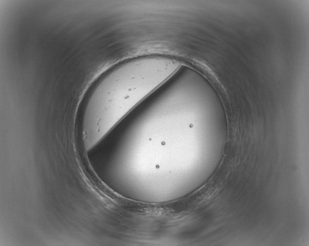 X0000061750439200512021116