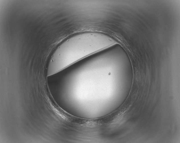 X0000061750441200512021116