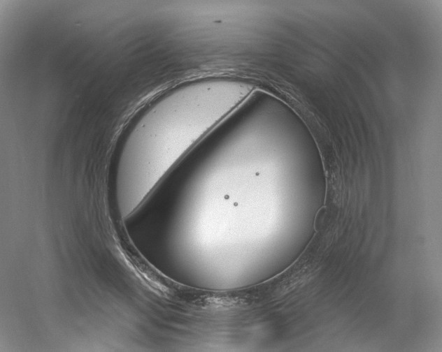 X0000061750442200512021116