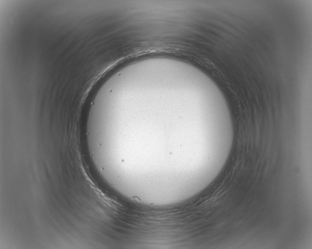 X0000061750444200512021116