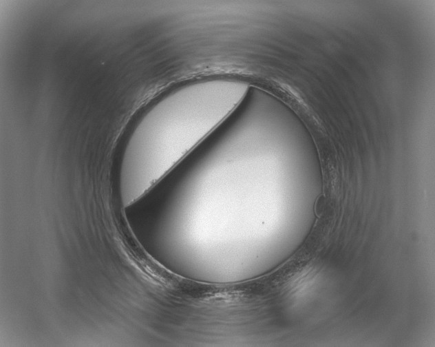 X0000061750447200512021116