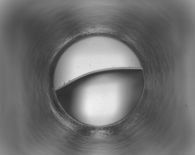 X0000061750448200512021116