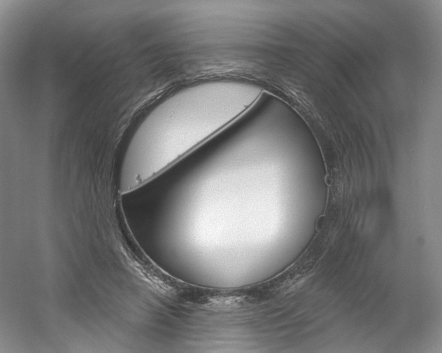 X0000061750450200512021116