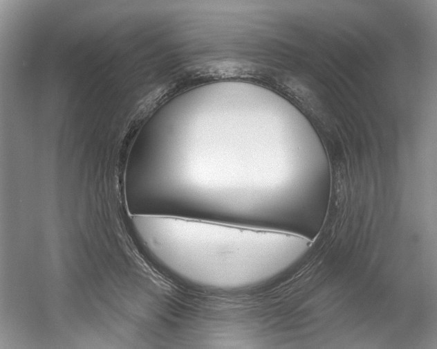 X0000061750453200512021116