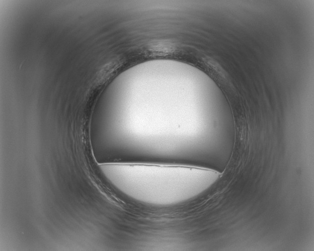 X0000061750455200512021116