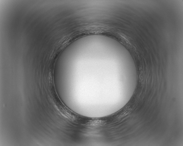 X0000061750459200512021116